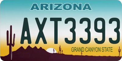 AZ license plate AXT3393