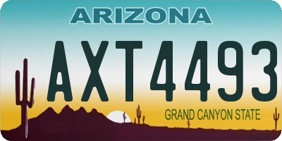 AZ license plate AXT4493