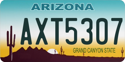 AZ license plate AXT5307