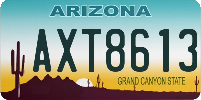 AZ license plate AXT8613