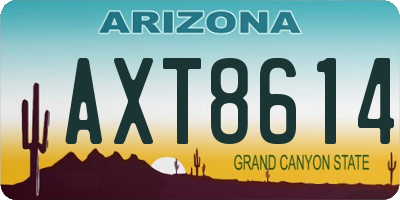 AZ license plate AXT8614