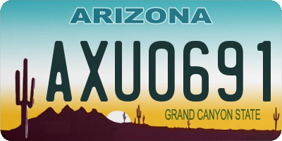 AZ license plate AXU0691
