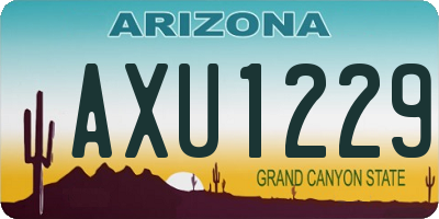 AZ license plate AXU1229
