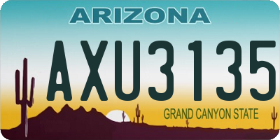 AZ license plate AXU3135