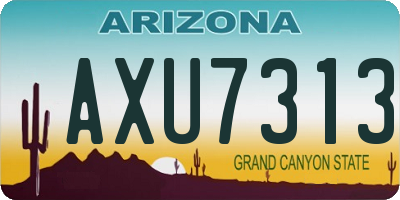 AZ license plate AXU7313