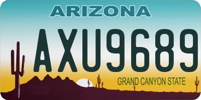 AZ license plate AXU9689