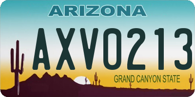 AZ license plate AXV0213