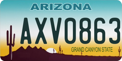 AZ license plate AXV0863