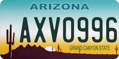 AZ license plate AXV0996