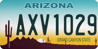 AZ license plate AXV1029