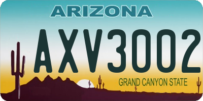 AZ license plate AXV3002