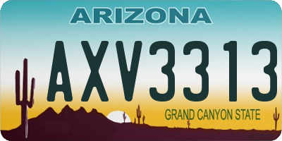 AZ license plate AXV3313