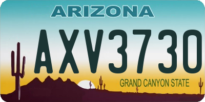 AZ license plate AXV3730