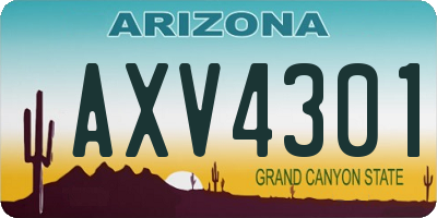 AZ license plate AXV4301