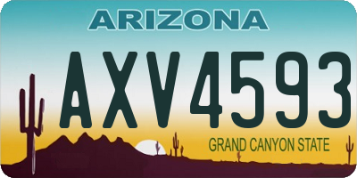 AZ license plate AXV4593