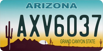 AZ license plate AXV6037