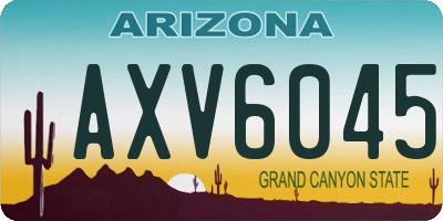 AZ license plate AXV6045