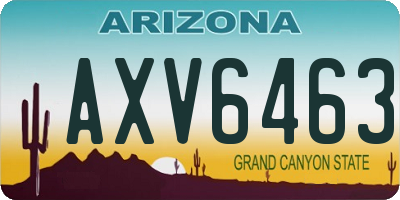 AZ license plate AXV6463