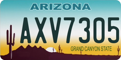 AZ license plate AXV7305
