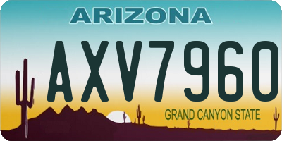 AZ license plate AXV7960