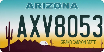 AZ license plate AXV8053
