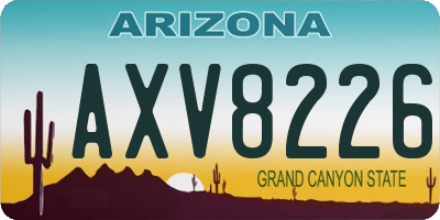 AZ license plate AXV8226