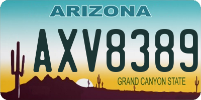 AZ license plate AXV8389