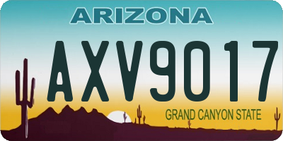 AZ license plate AXV9017