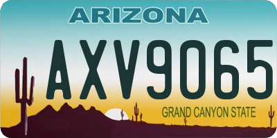AZ license plate AXV9065