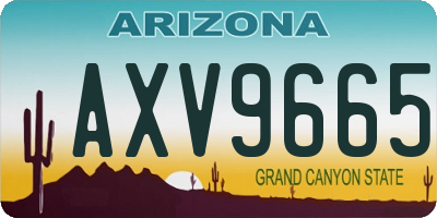 AZ license plate AXV9665