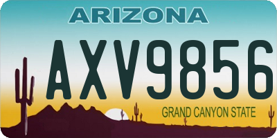 AZ license plate AXV9856