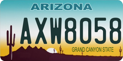AZ license plate AXW8058