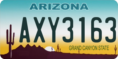 AZ license plate AXY3163