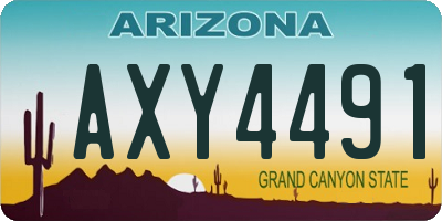 AZ license plate AXY4491