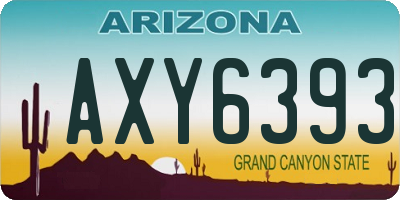 AZ license plate AXY6393