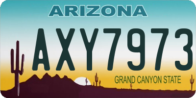 AZ license plate AXY7973