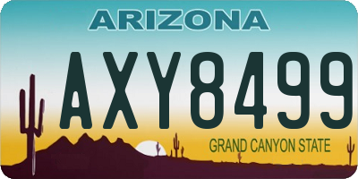 AZ license plate AXY8499