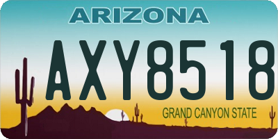AZ license plate AXY8518