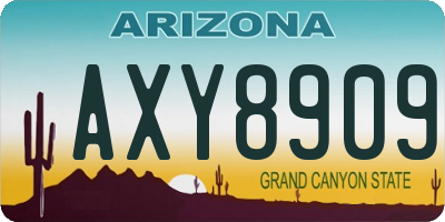 AZ license plate AXY8909