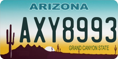 AZ license plate AXY8993