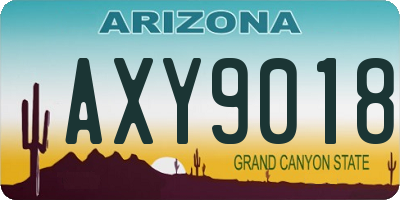 AZ license plate AXY9018