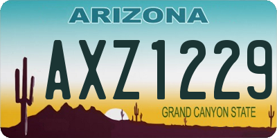 AZ license plate AXZ1229