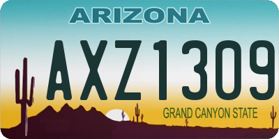 AZ license plate AXZ1309