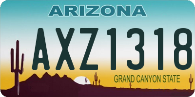 AZ license plate AXZ1318