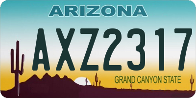 AZ license plate AXZ2317