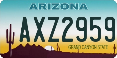 AZ license plate AXZ2959