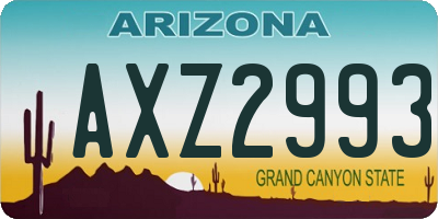 AZ license plate AXZ2993
