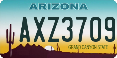 AZ license plate AXZ3709