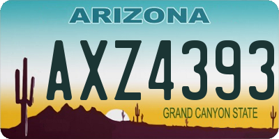 AZ license plate AXZ4393