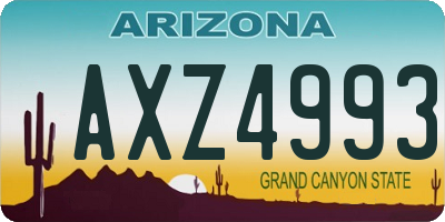 AZ license plate AXZ4993